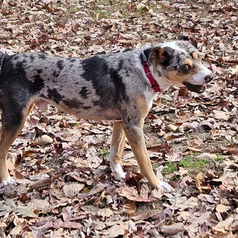 Speckles photo 5