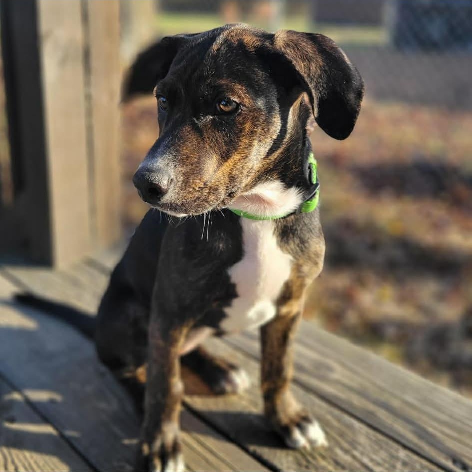 Scarlette Witch thumbnail 6