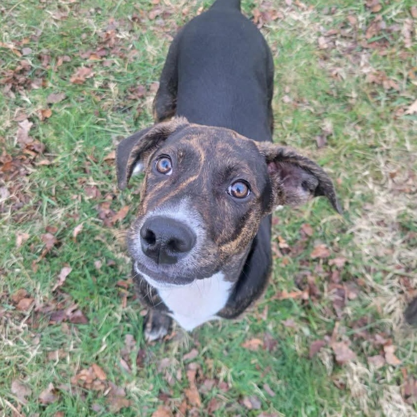 Scarlette Witch thumbnail 7