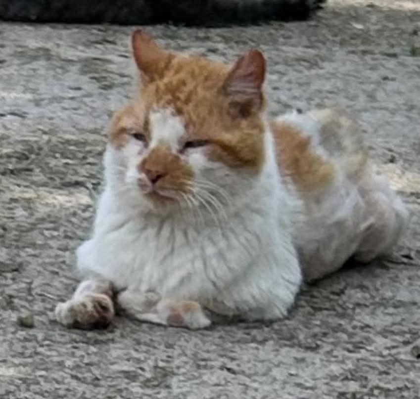 SPARGLE (aka Spargalicious!)