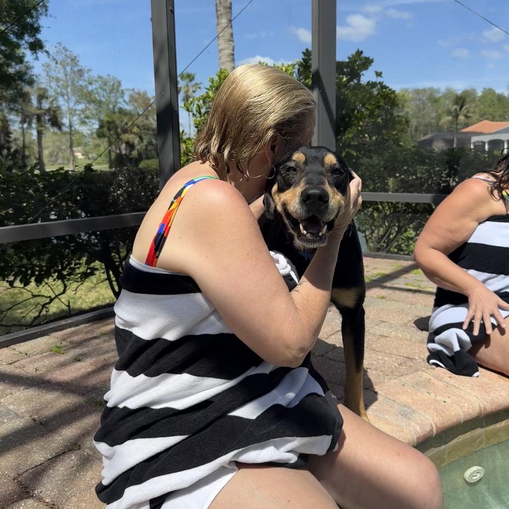 Enlarge King, a Adoptable Mixed Breed in Naples, FL image 2/6