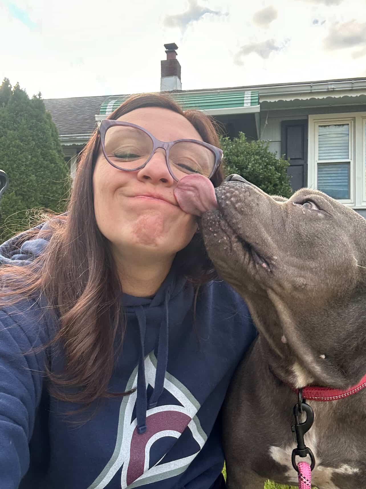 Enlarge Sheba, a ADOPTABLE mixed breed in Cresco, PA image 2/6