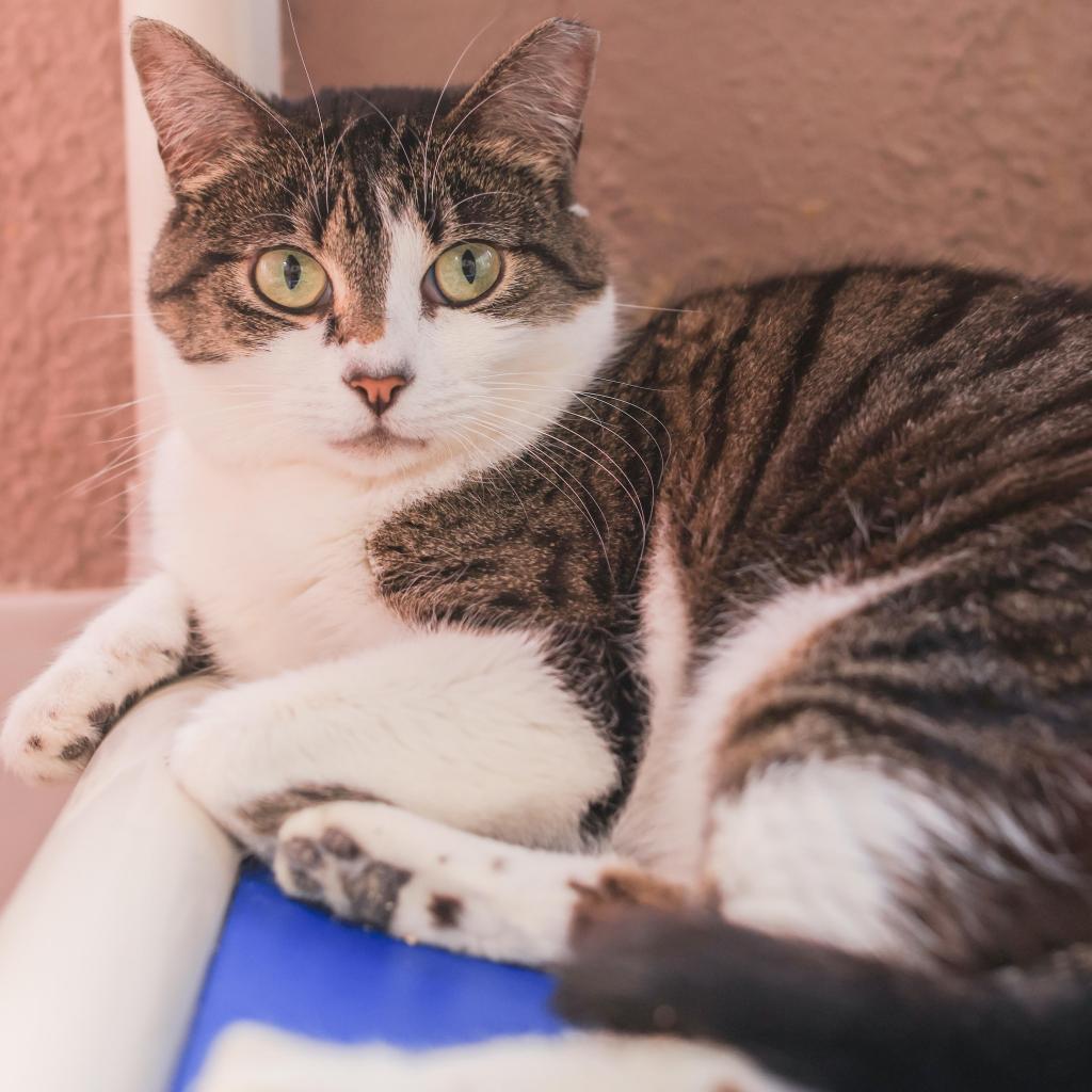 Gretchen — thumbnail 2