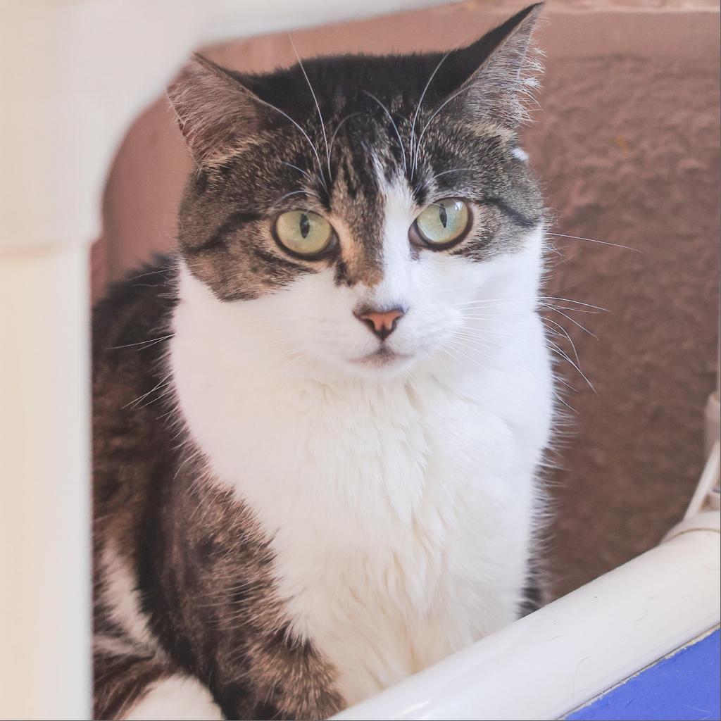 Gretchen — thumbnail 3