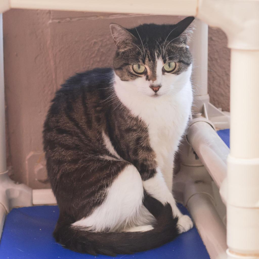 Gretchen — thumbnail 4