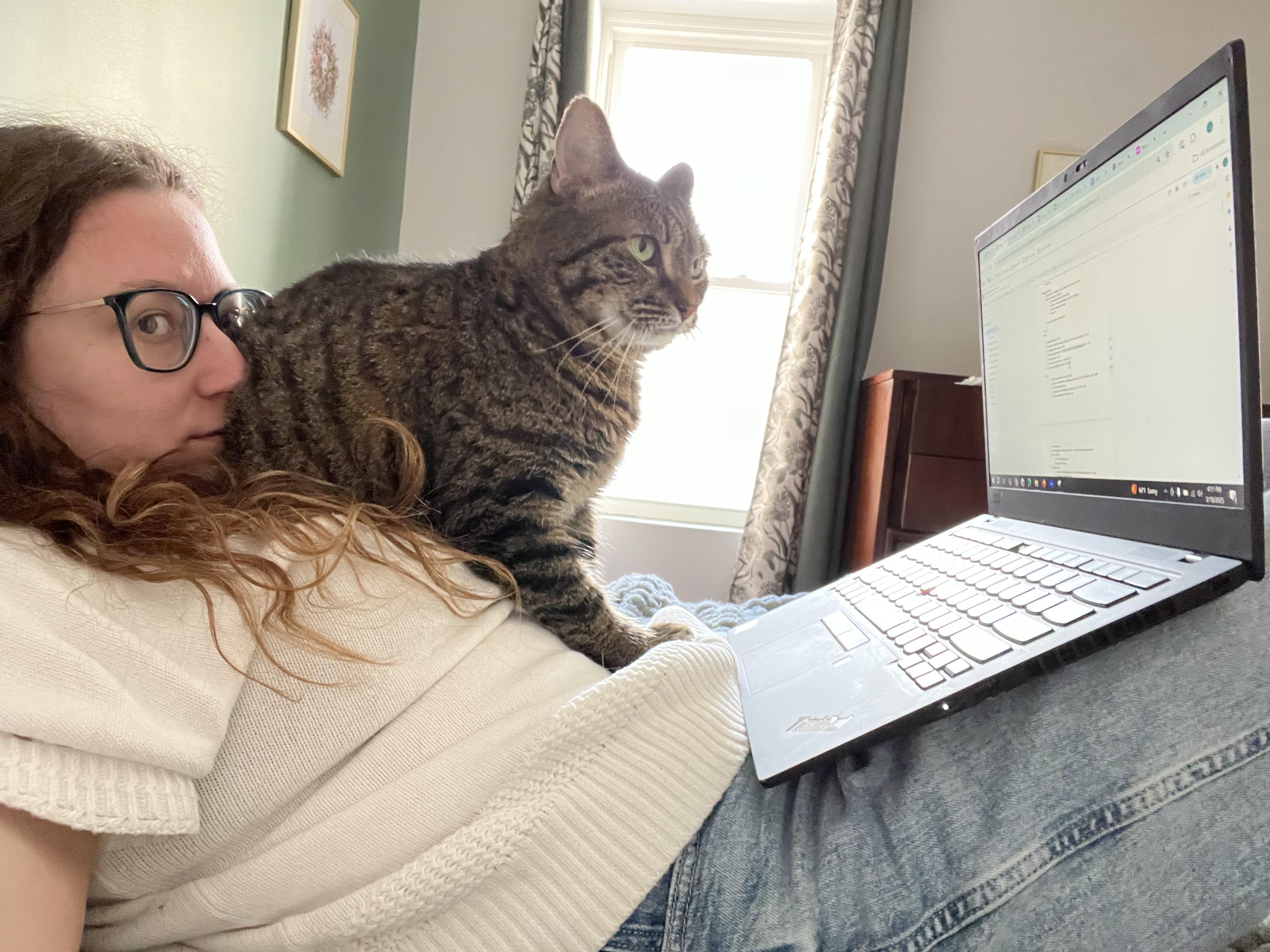 Russell, a Adoptable Domestic Short Hair in Philadelphia, PA image 5/6