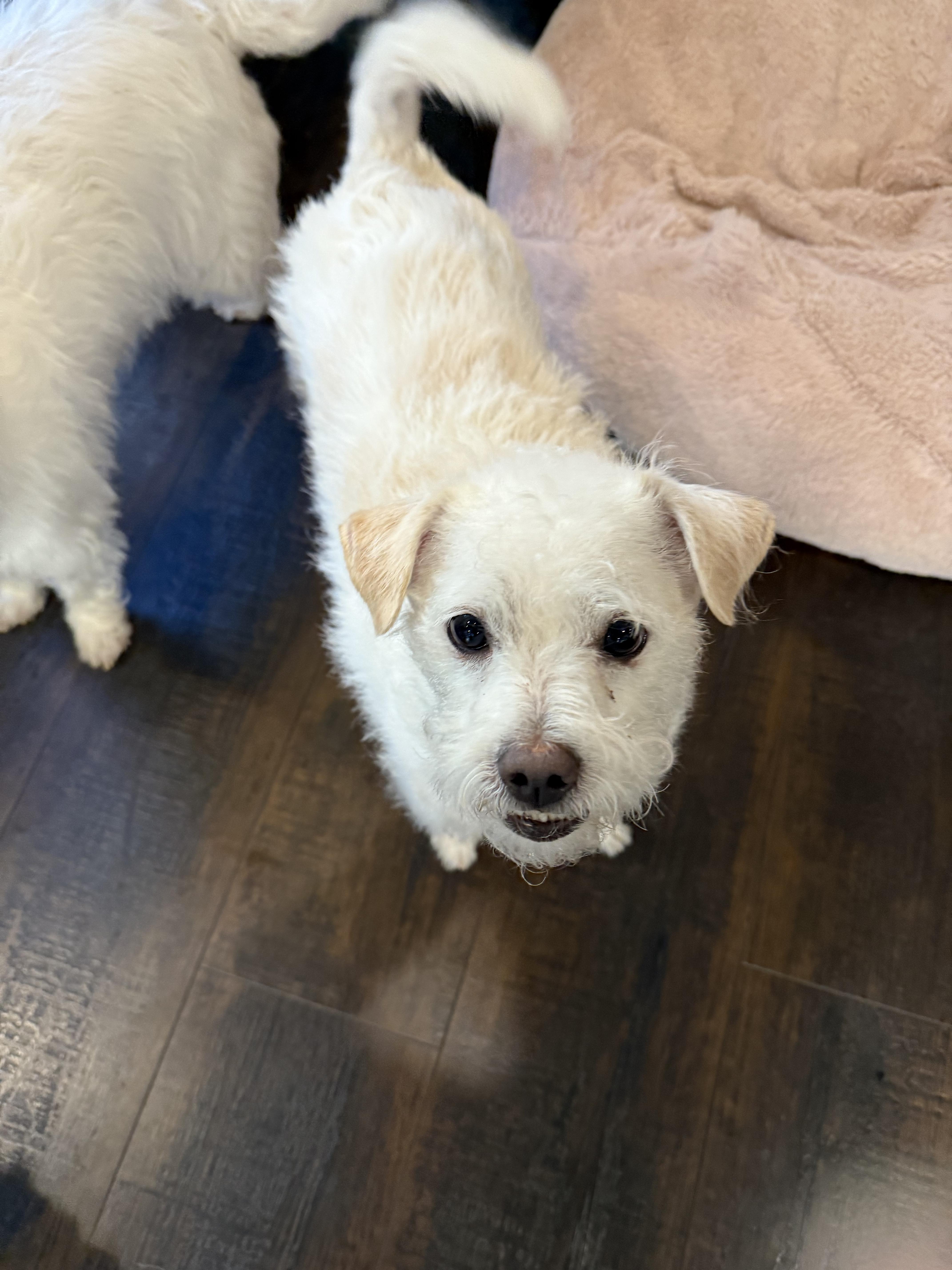 Sammy and Little Jack - A Father-Son Duo Looking for Love!