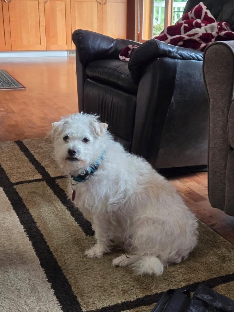 Sammy and Little Jack - A Father-Son Duo Looking for Love!