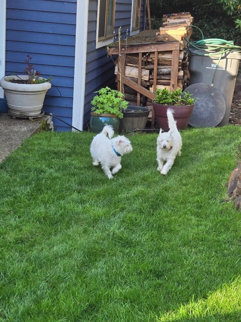 Sammy and Little Jack - A Father-Son Duo Looking for Love!