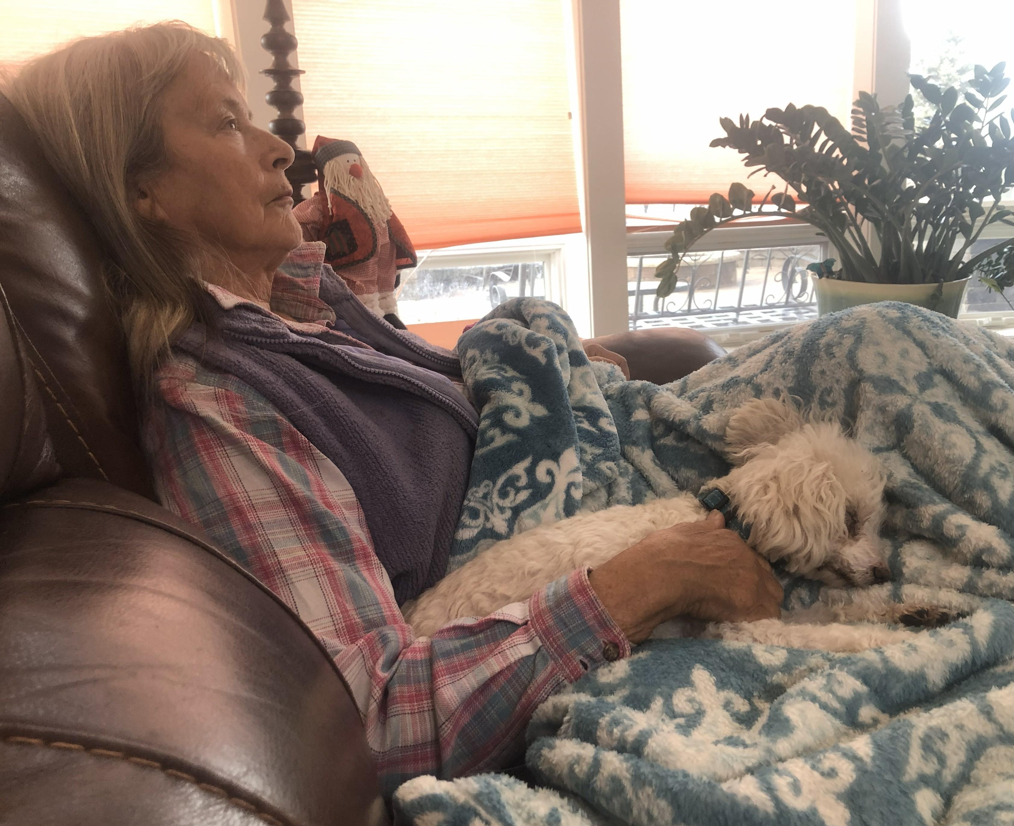 Enlarge Bumper, a Adoptable mixed breed in Windsor, CO image 5/5