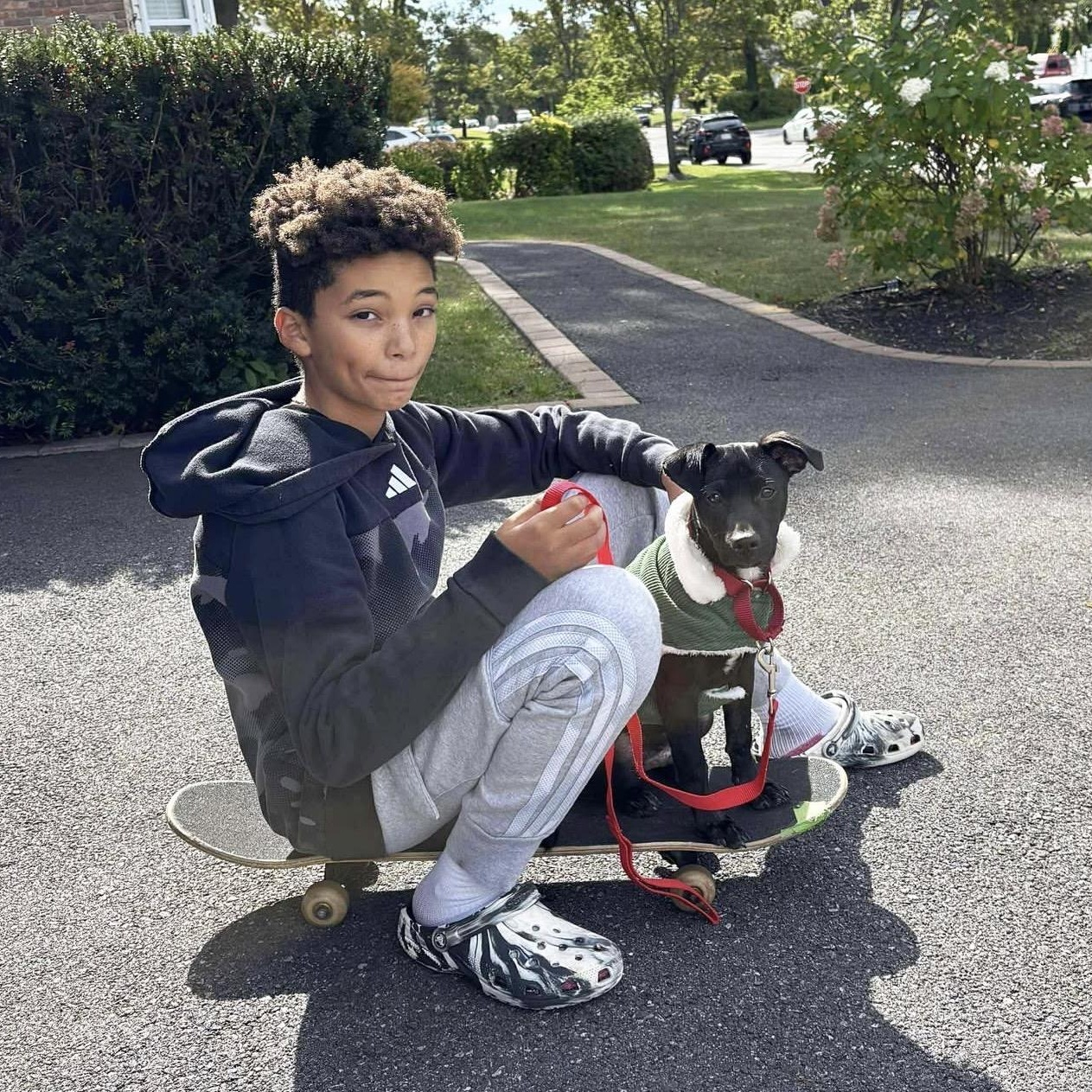 Martin, a Adoptable Mixed Breed in Yaphank, NY image 3/5