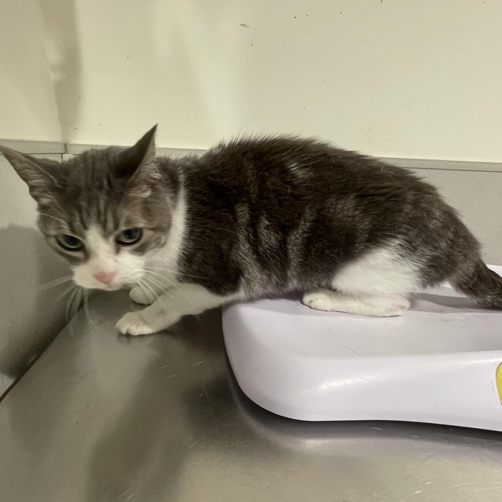 Cece — thumbnail 7