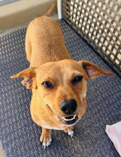 Mary - So Ca — thumbnail 2