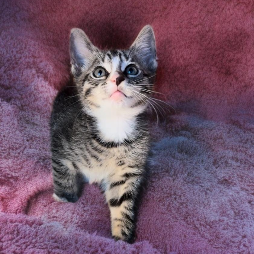 Killian — thumbnail 3