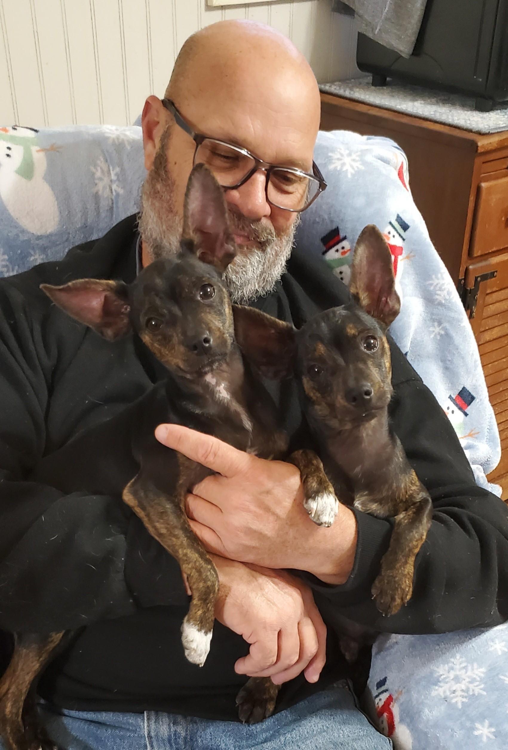 Enlarge Clark, a Adoptable mixed breed in Albany, NY image 6/6