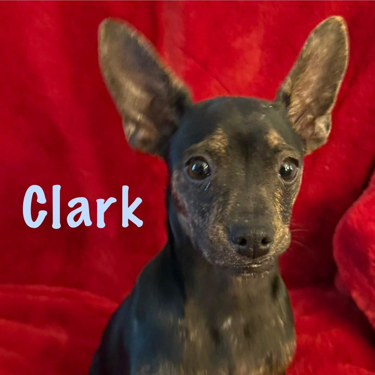 Clark thumbnail 6