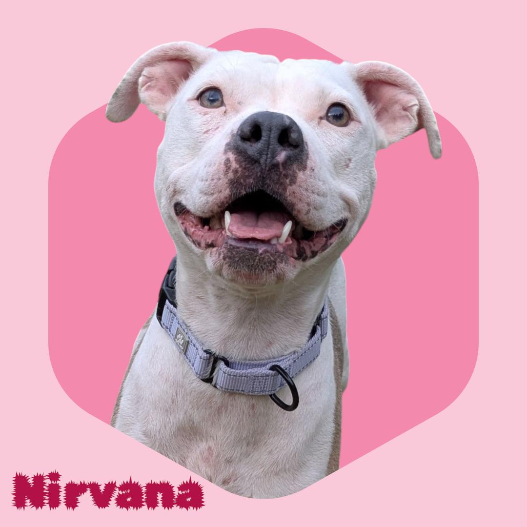 Nirvana