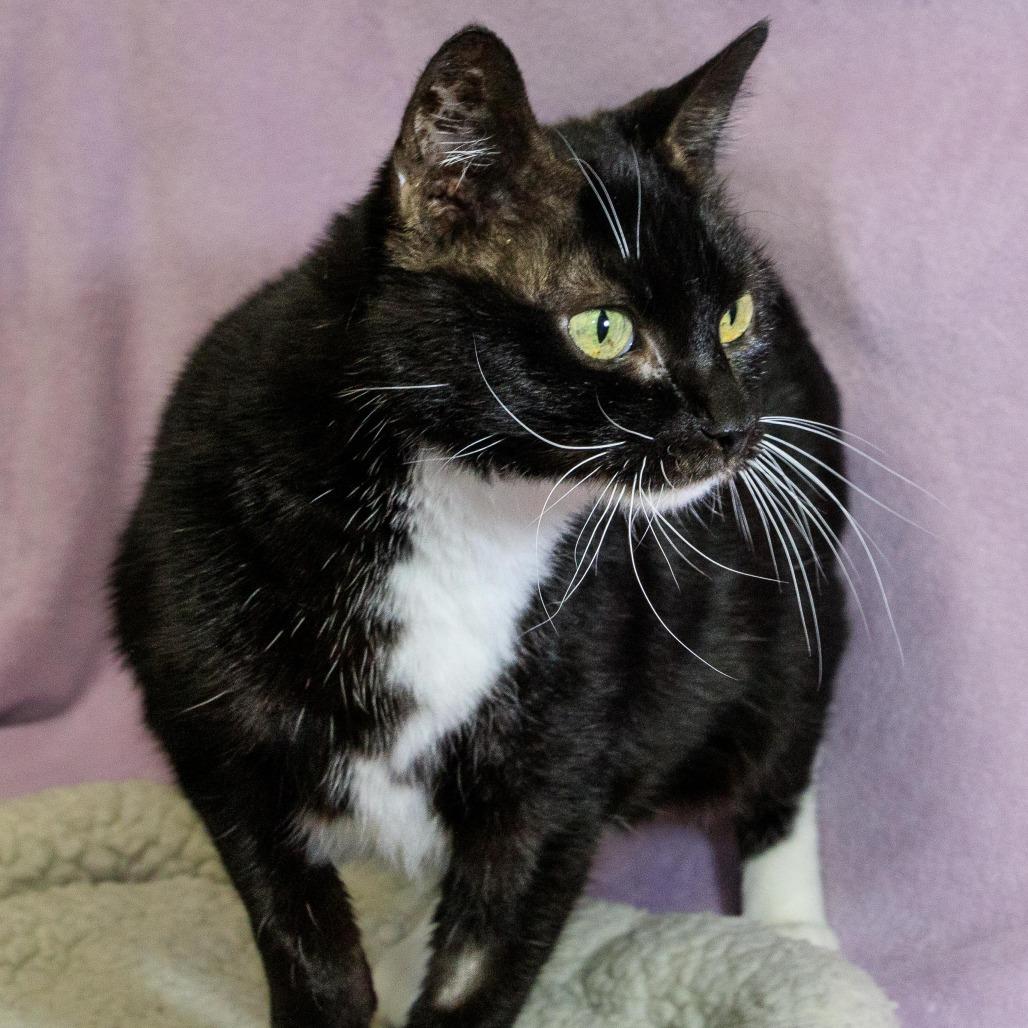 Midnight — thumbnail 2