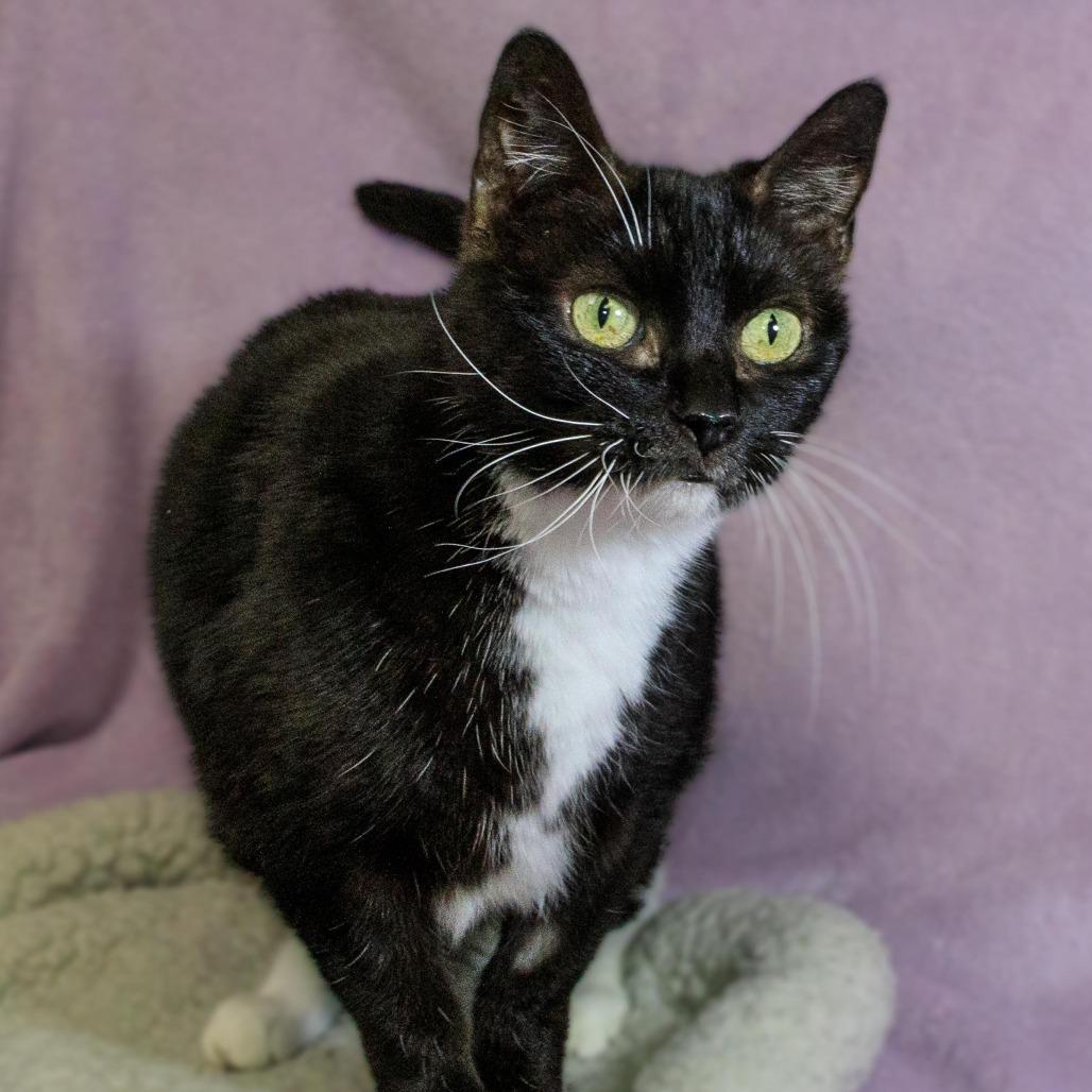 Midnight — thumbnail 3