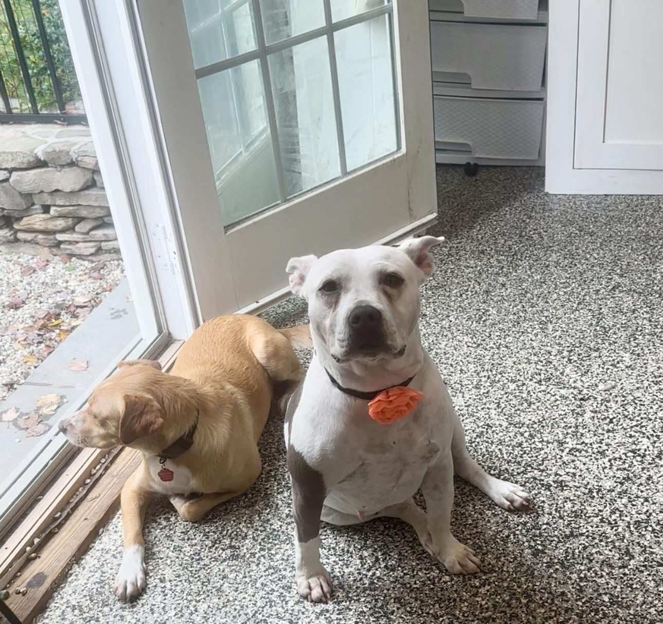 Fiona