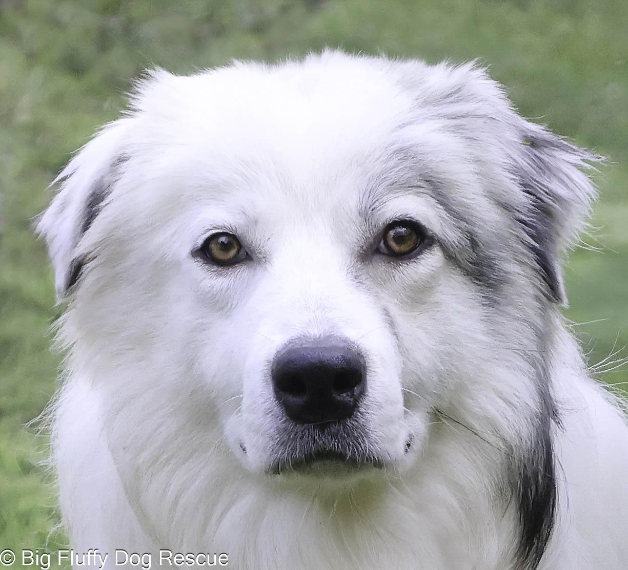 Misty — thumbnail 2