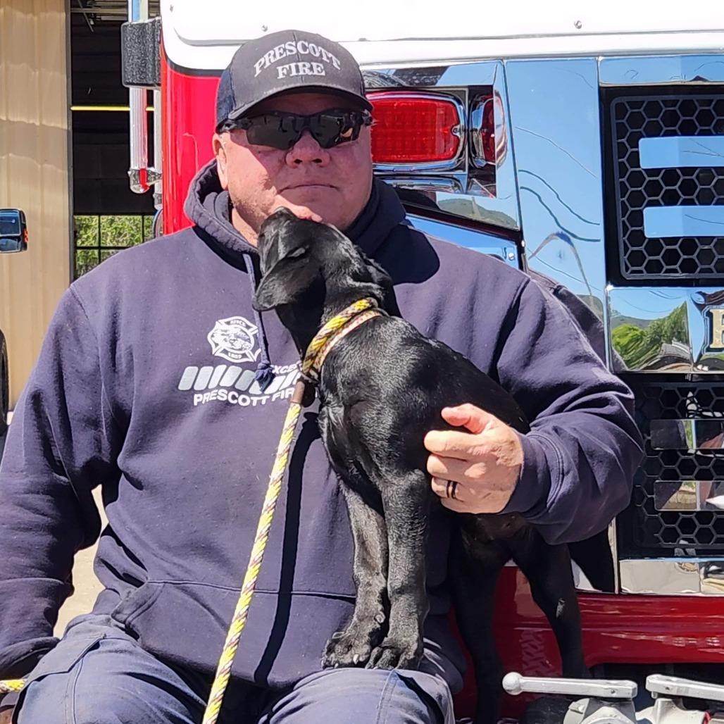 Enlarge Pancake, a Adoptable Mixed Breed in Prescott, AZ image 4/5