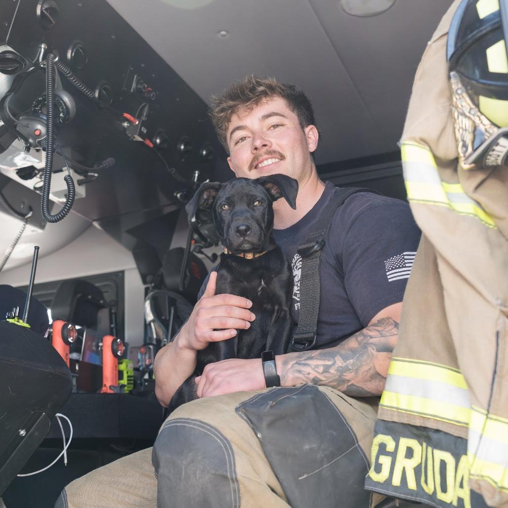 Enlarge Pancake, a Adoptable Mixed Breed in Prescott, AZ image 5/5