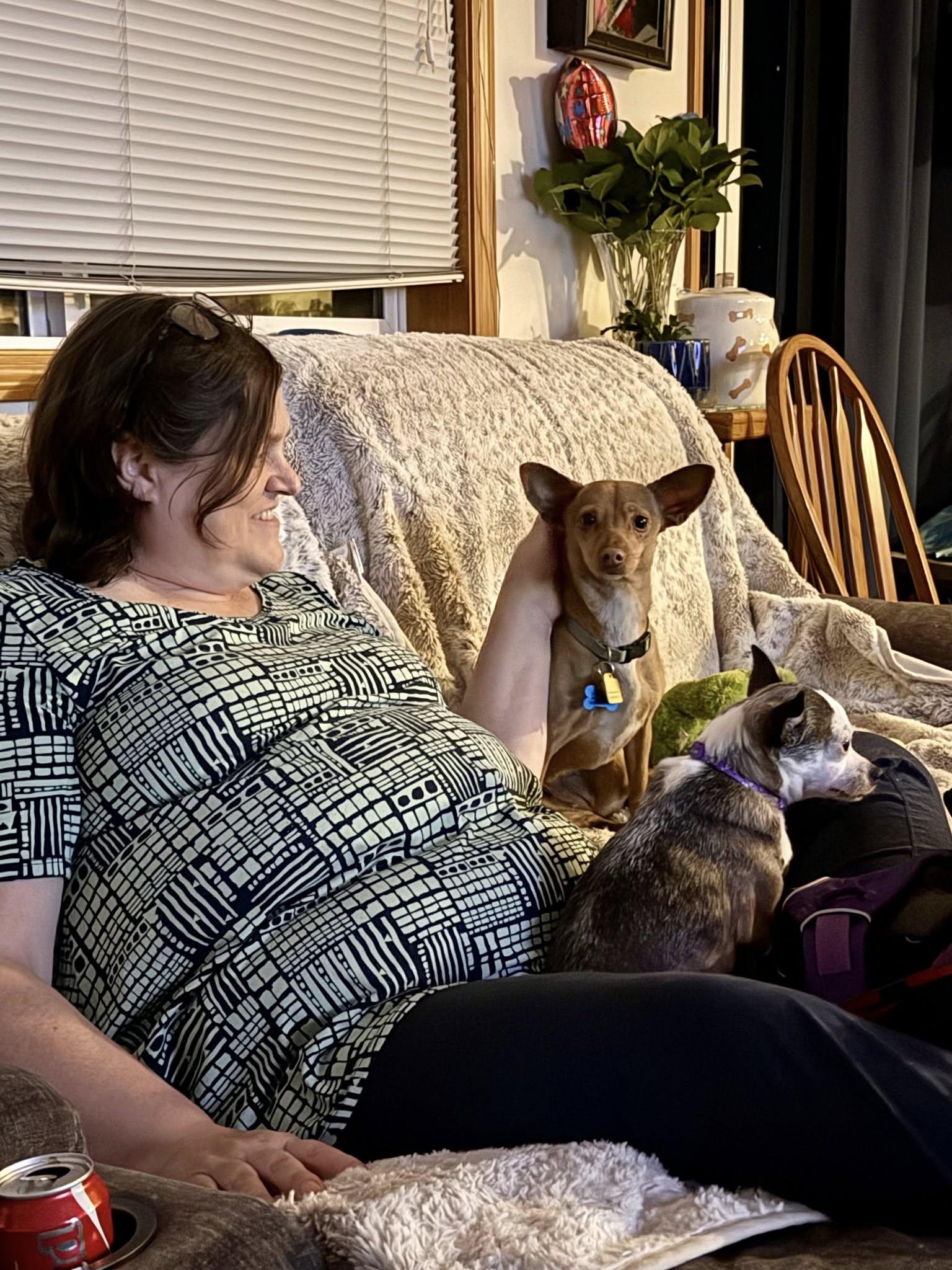 Lasagna, a Adoptable mixed breed in Covington, WA image 2/5