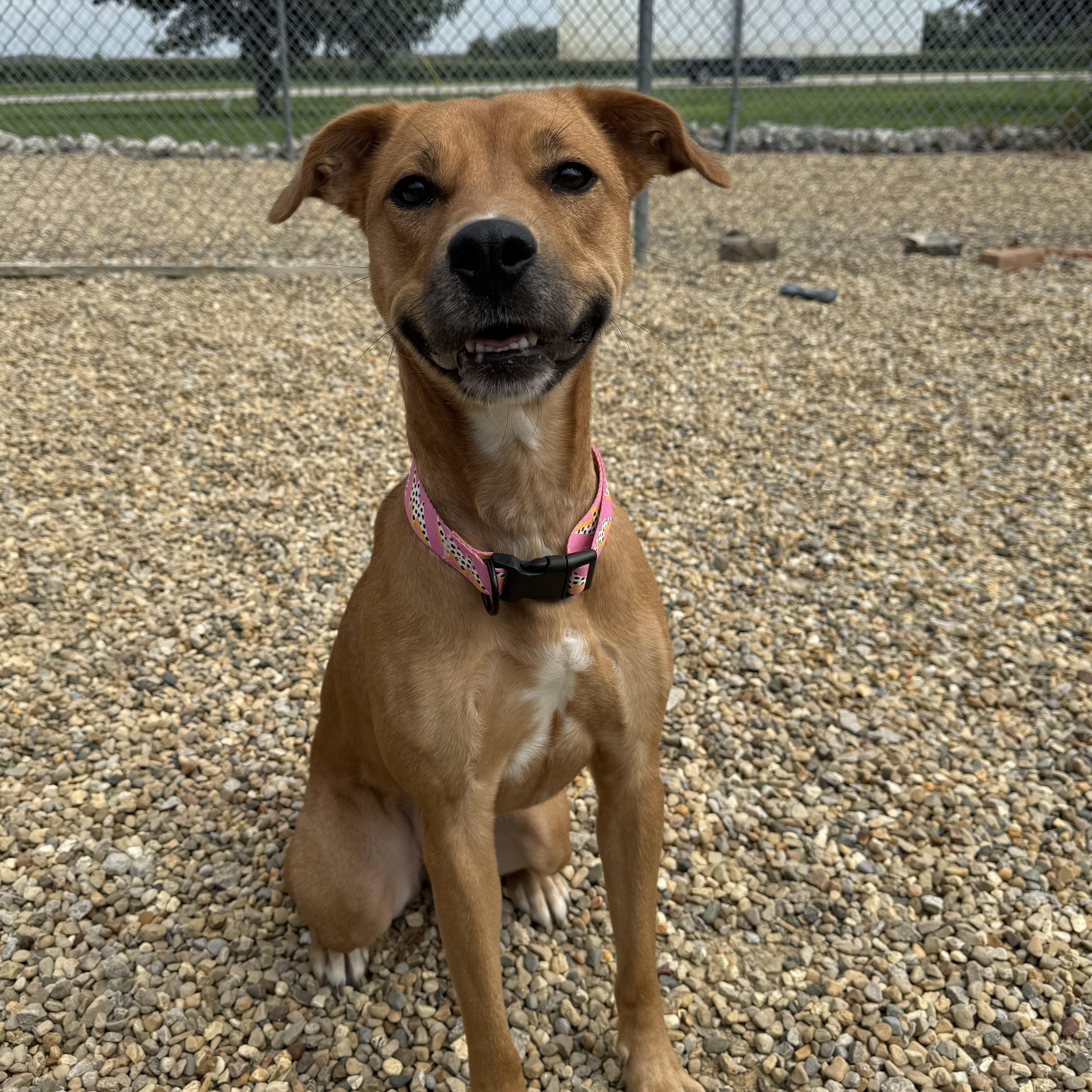 Bonnie