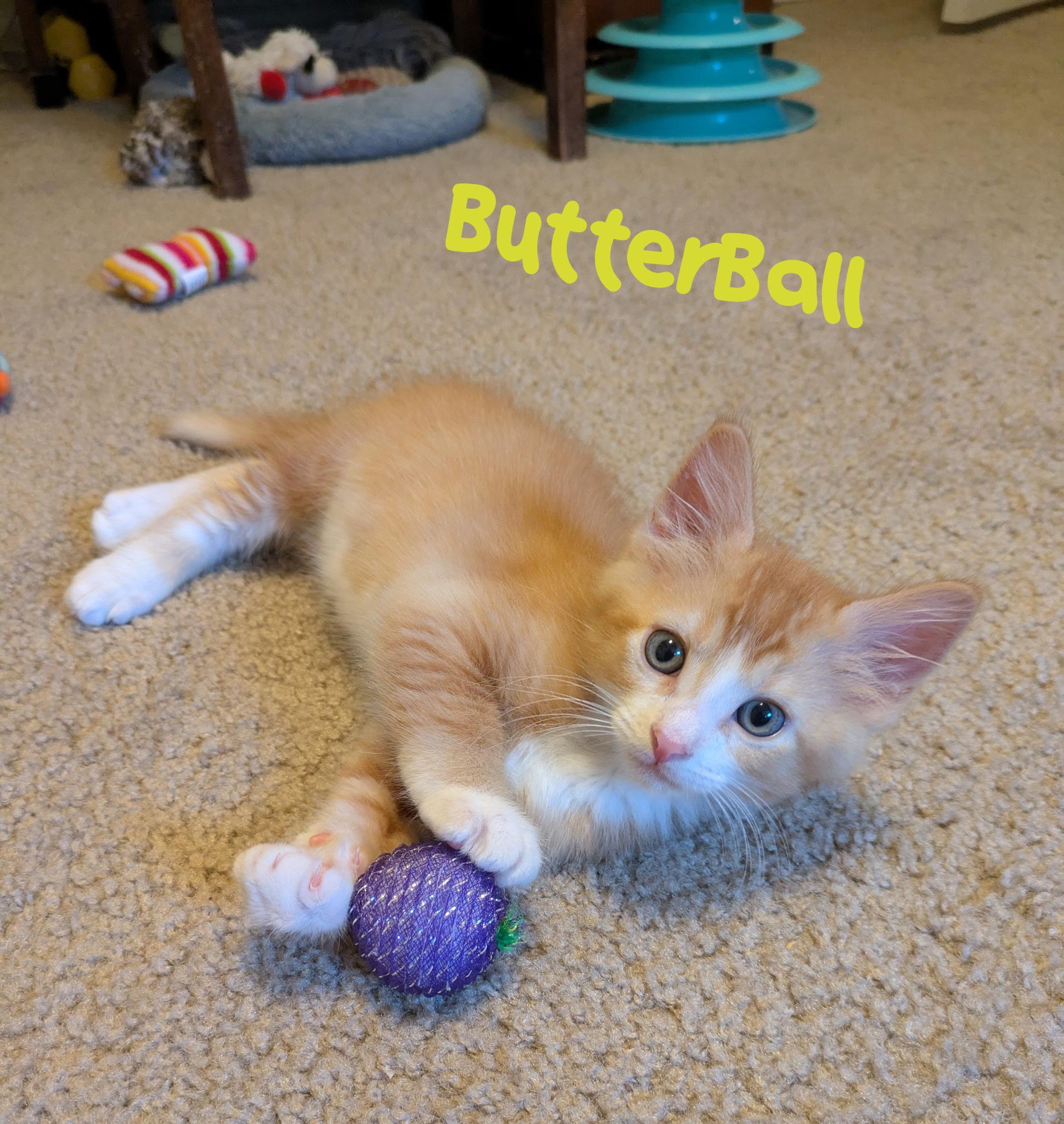 Butterball