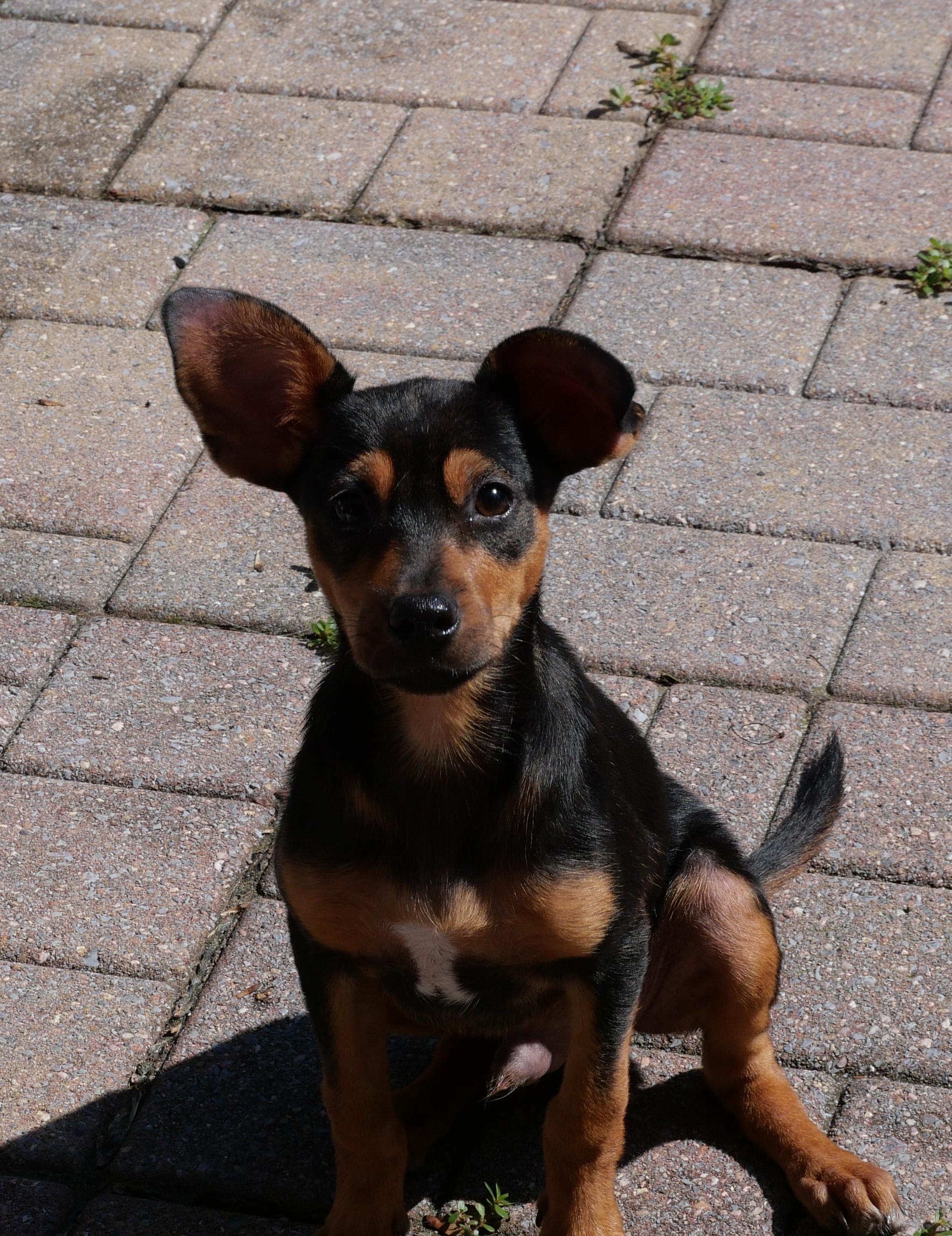 Carson photo 4