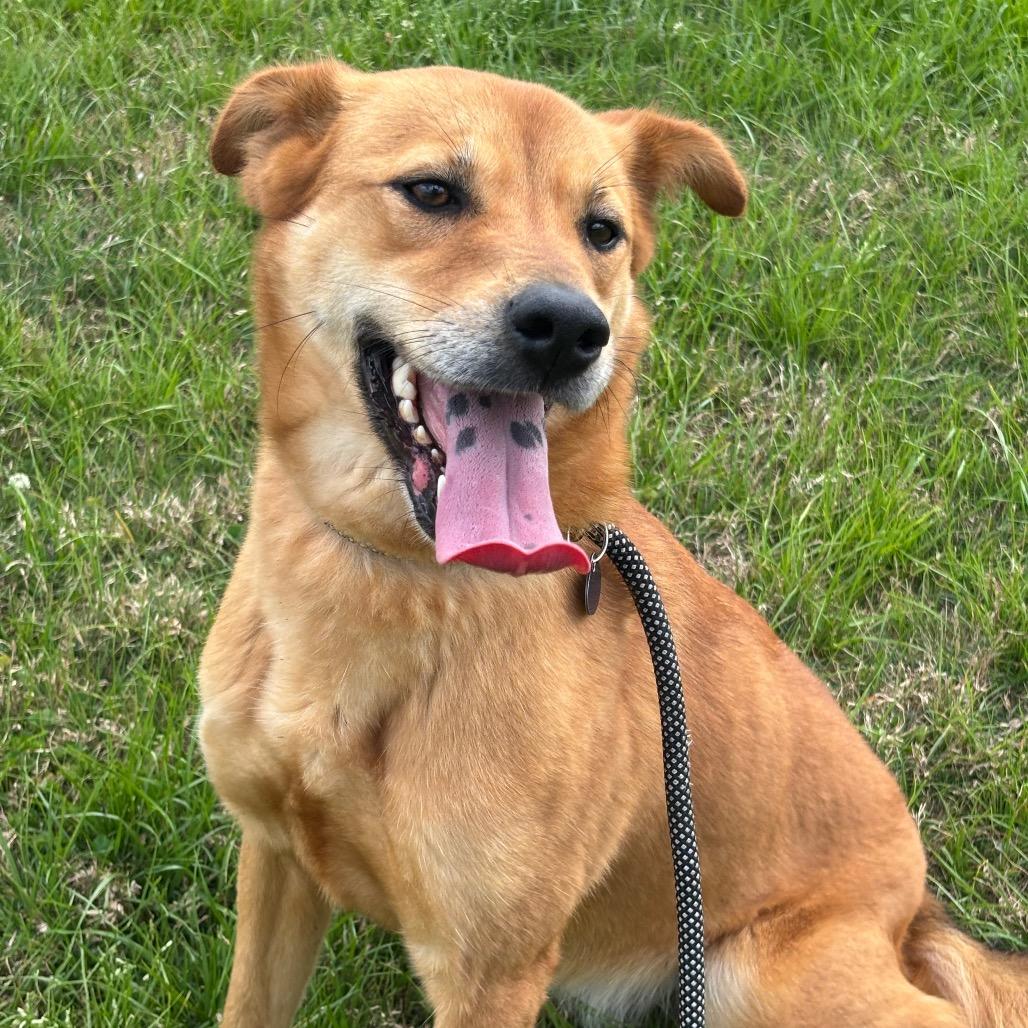 Macy — thumbnail 2