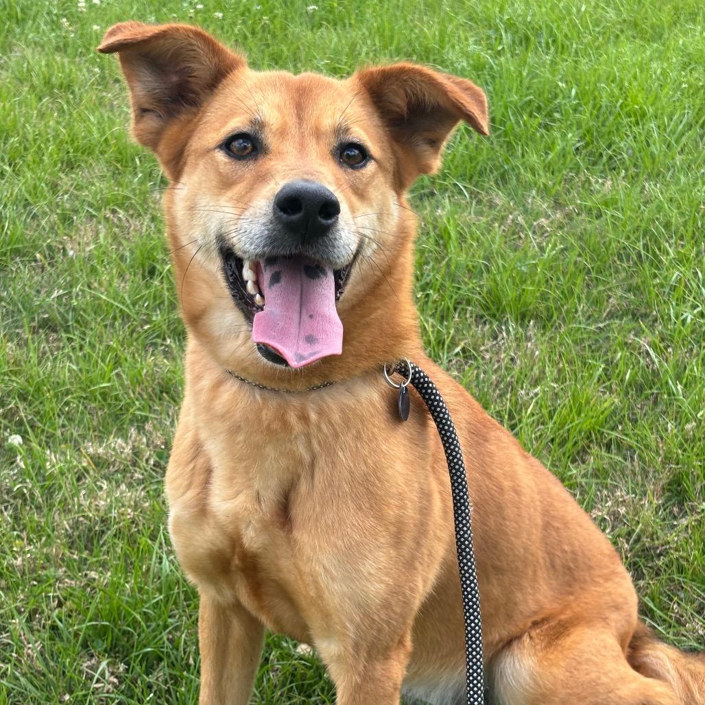 Macy — thumbnail 3