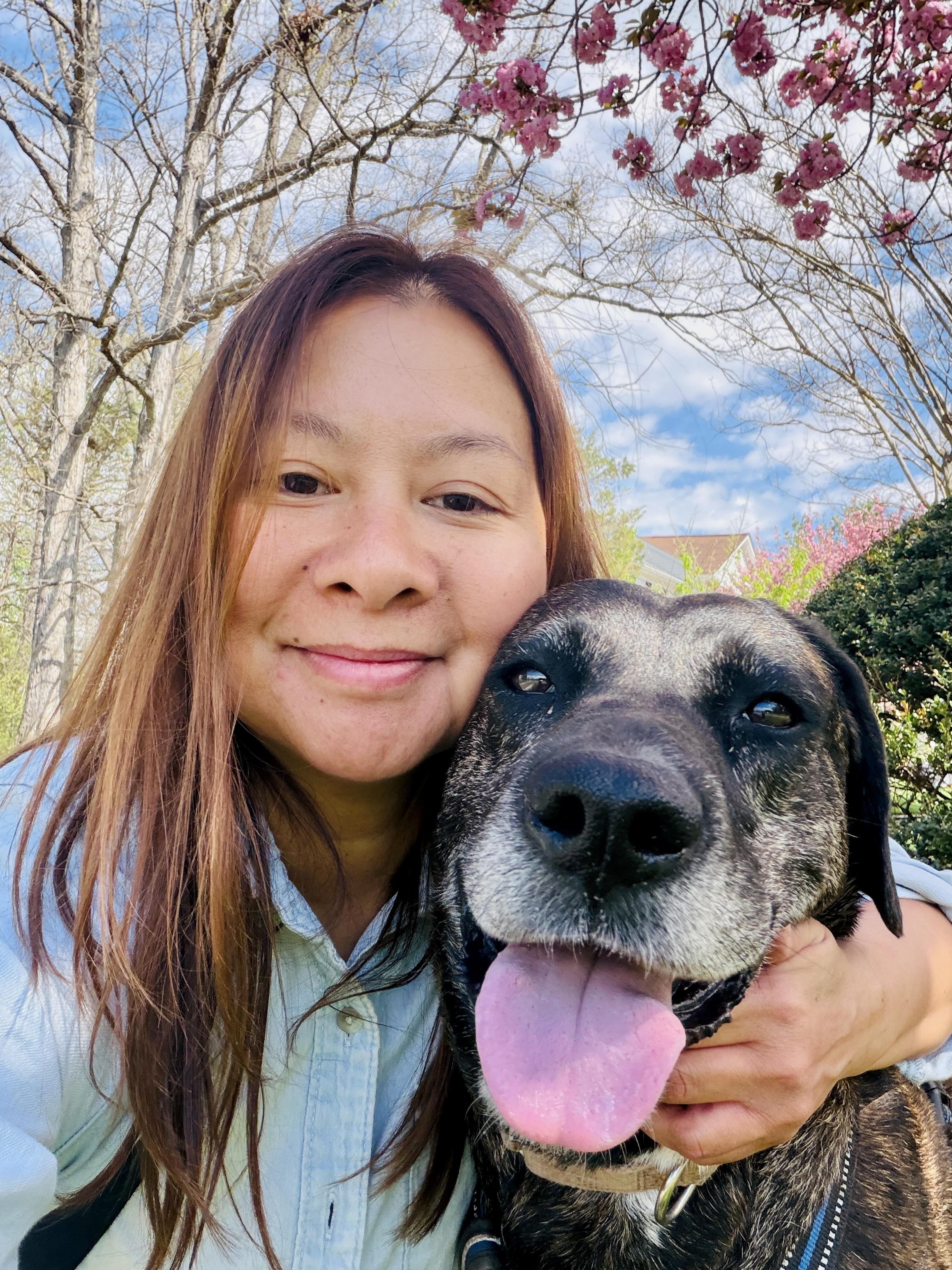 Enlarge Missy, a ADOPTABLE mixed breed in Fairfax, VA image 4/4