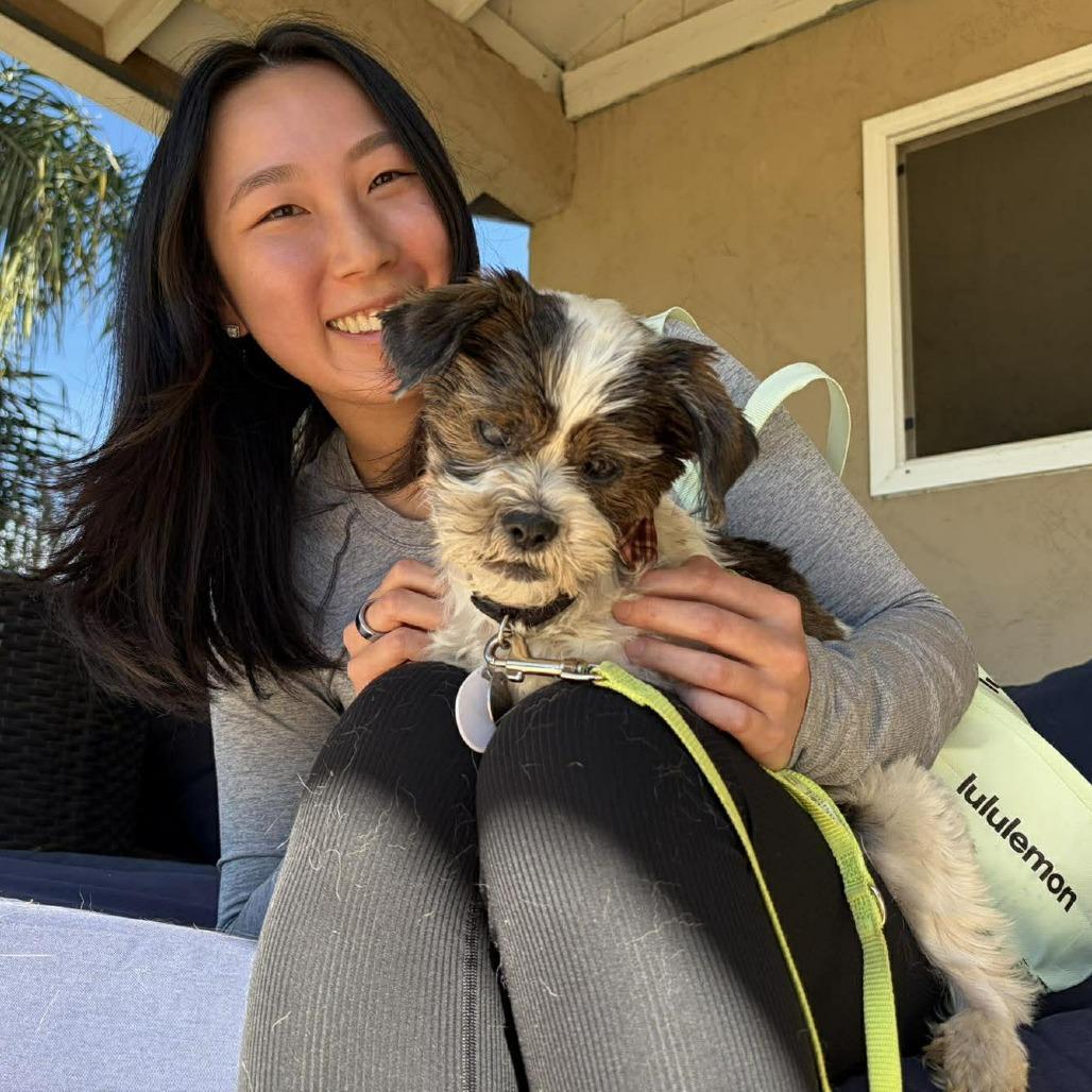 Badger — thumbnail 6