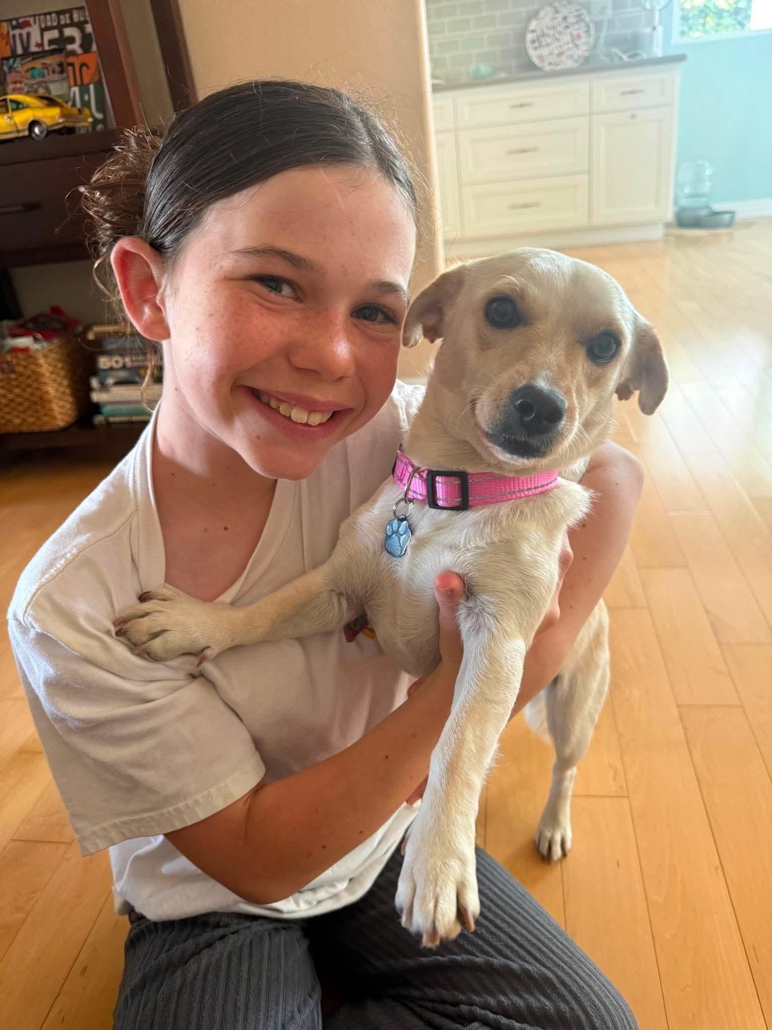 Elsa, a Adopted mixed breed in Orange, CA image 2/3