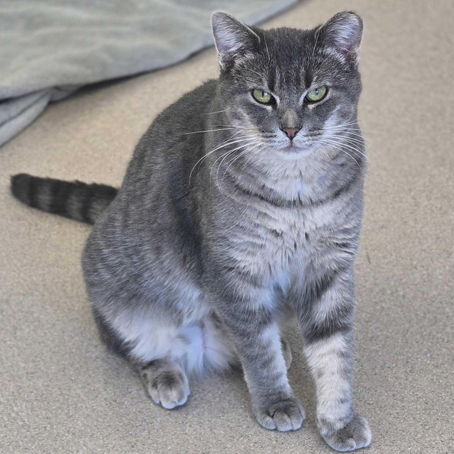 Capri Sun-Love Bug-FEE WAIVED