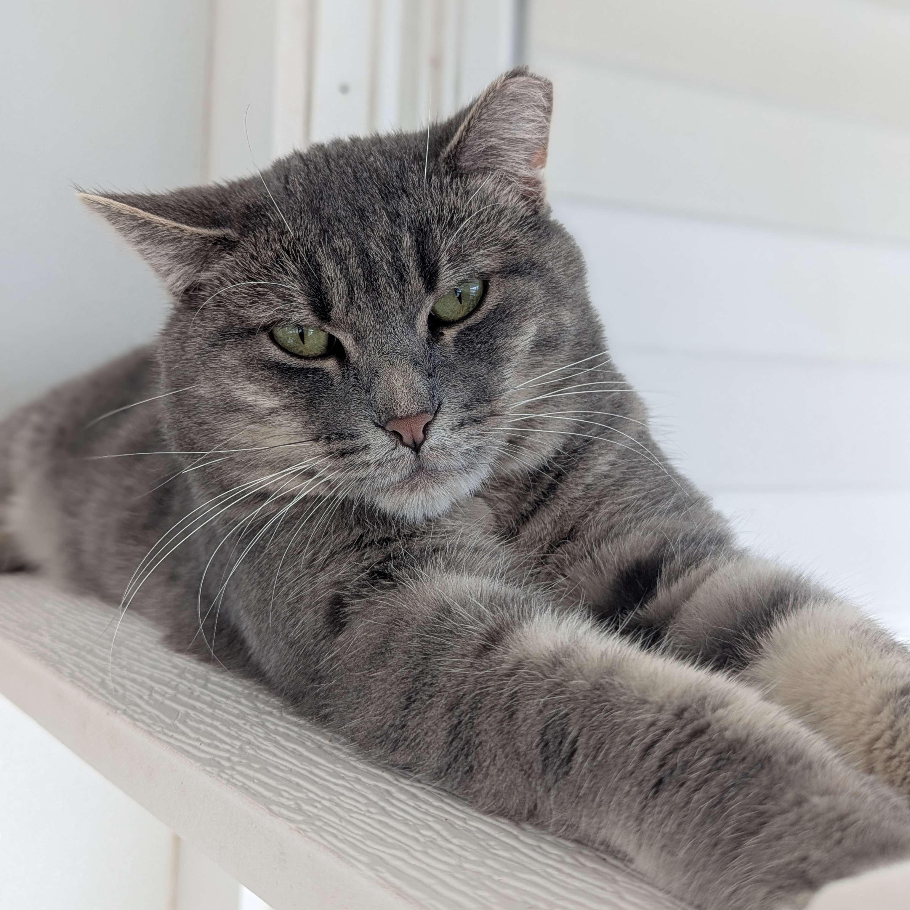 Capri Sun-Love Bug-FEE WAIVED