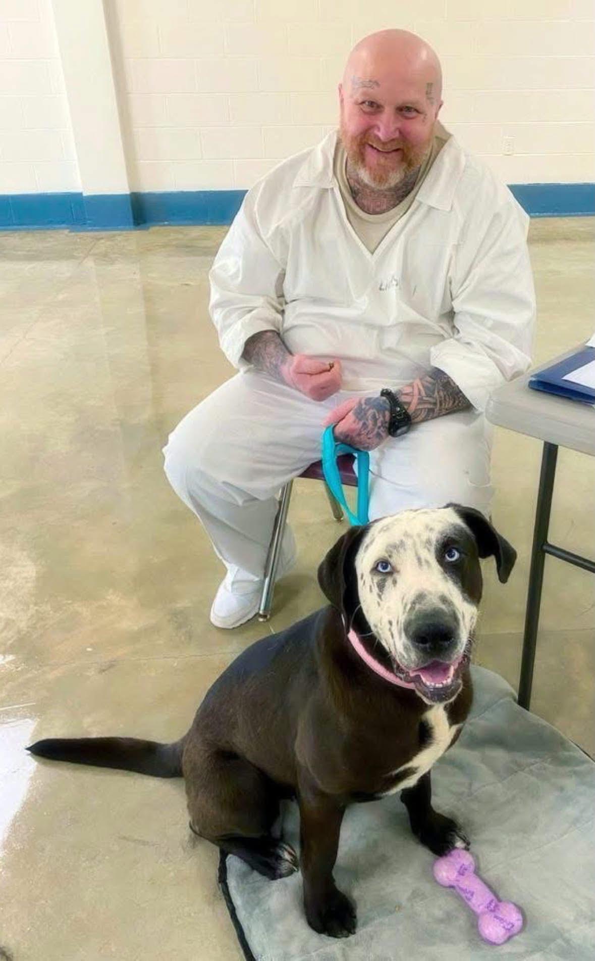 Enlarge Celeste, a Adoptable mixed breed in Willington, CT image 3/6