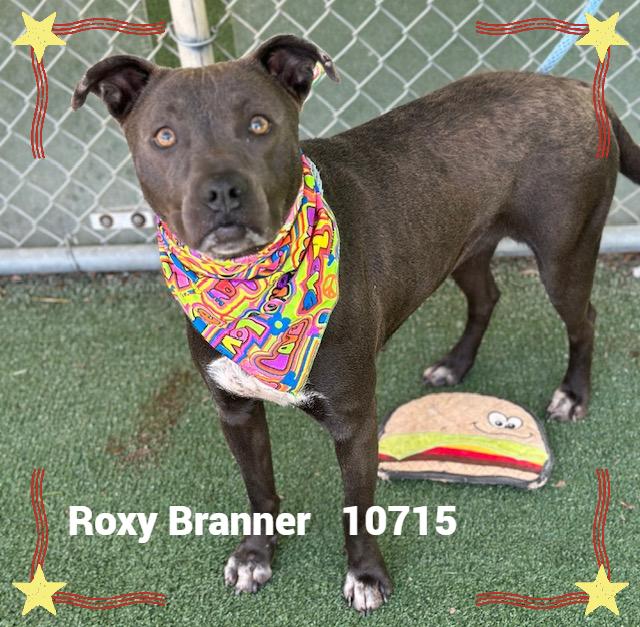 ROXY BRANNER