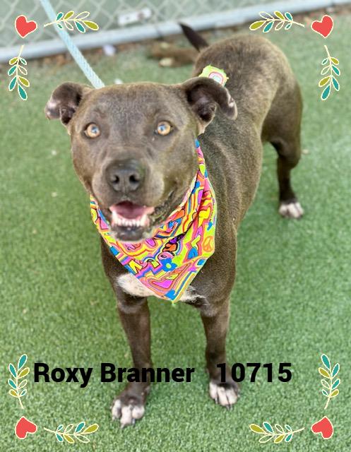 ROXY BRANNER