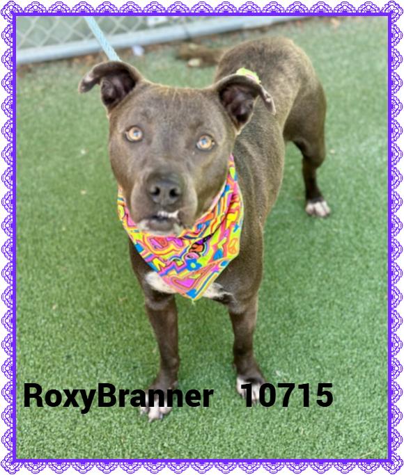ROXY BRANNER