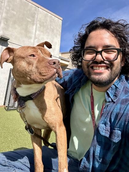 Enlarge Bruno, a Adoptable mixed breed in Wichita, KS image 3/3