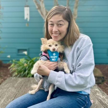 Sugar Cookie — thumbnail 2