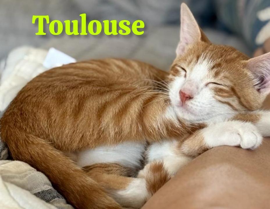 Toulouse
