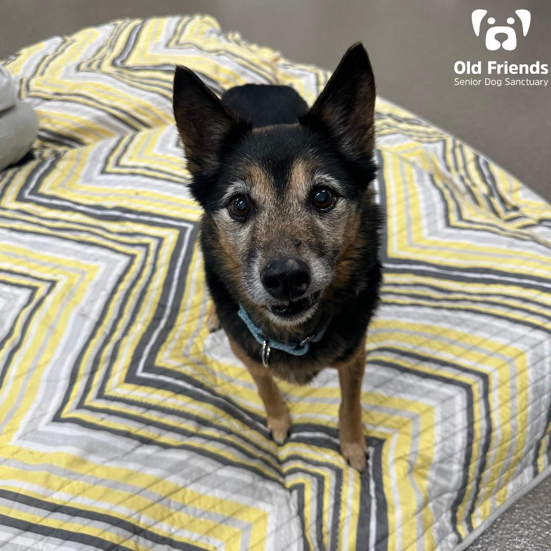 Ember — thumbnail 3