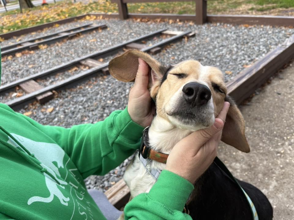 Pistachio thumbnail 2