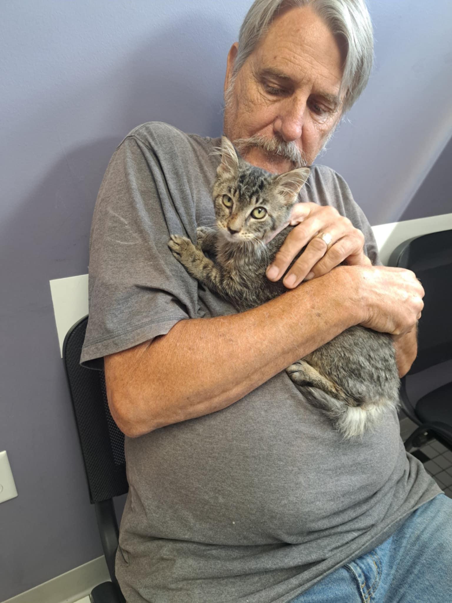 Enlarge Henna Trickle Jones, a Adoptable mixed breed in Indianapolis, IN image 2/3