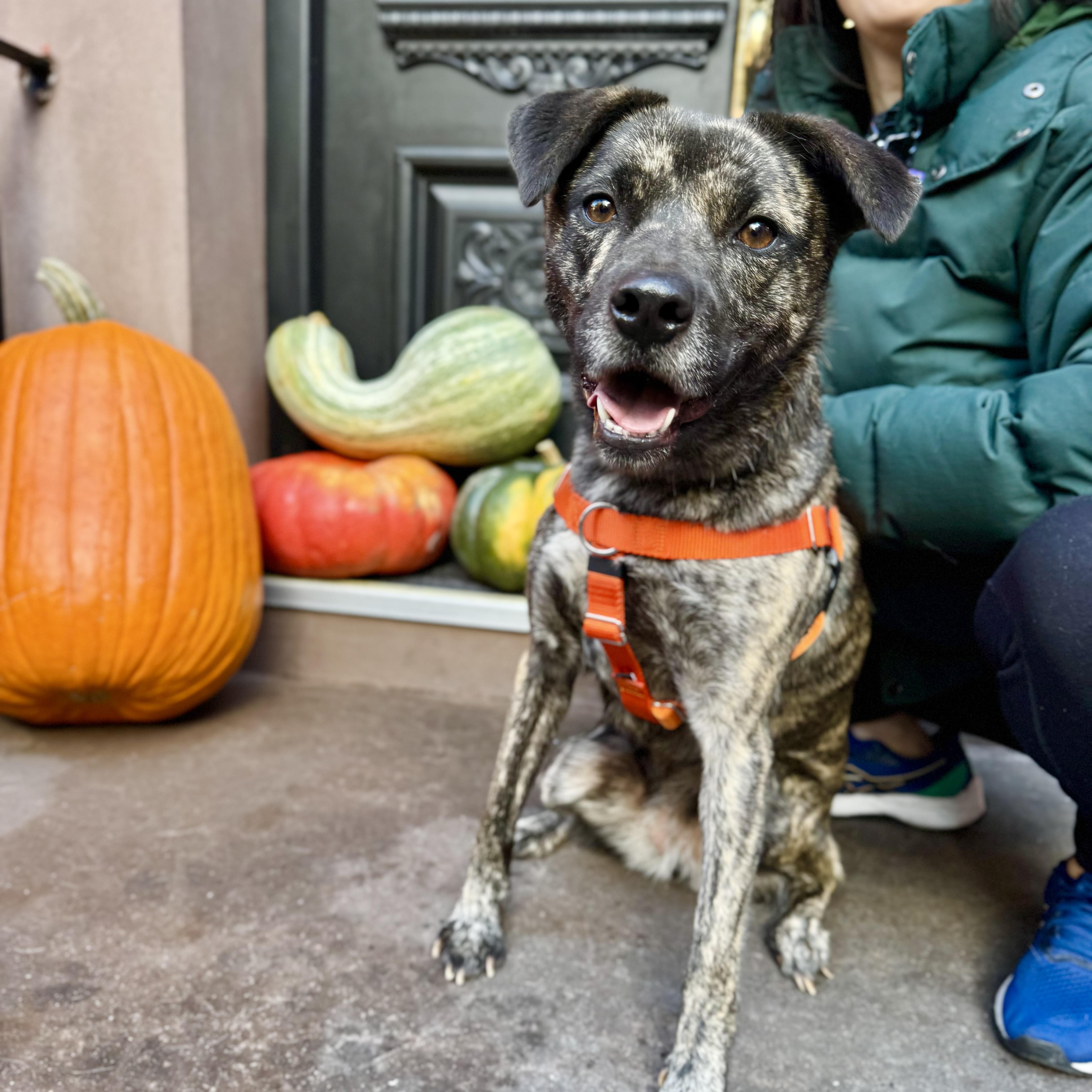 Firestarter thumbnail 4