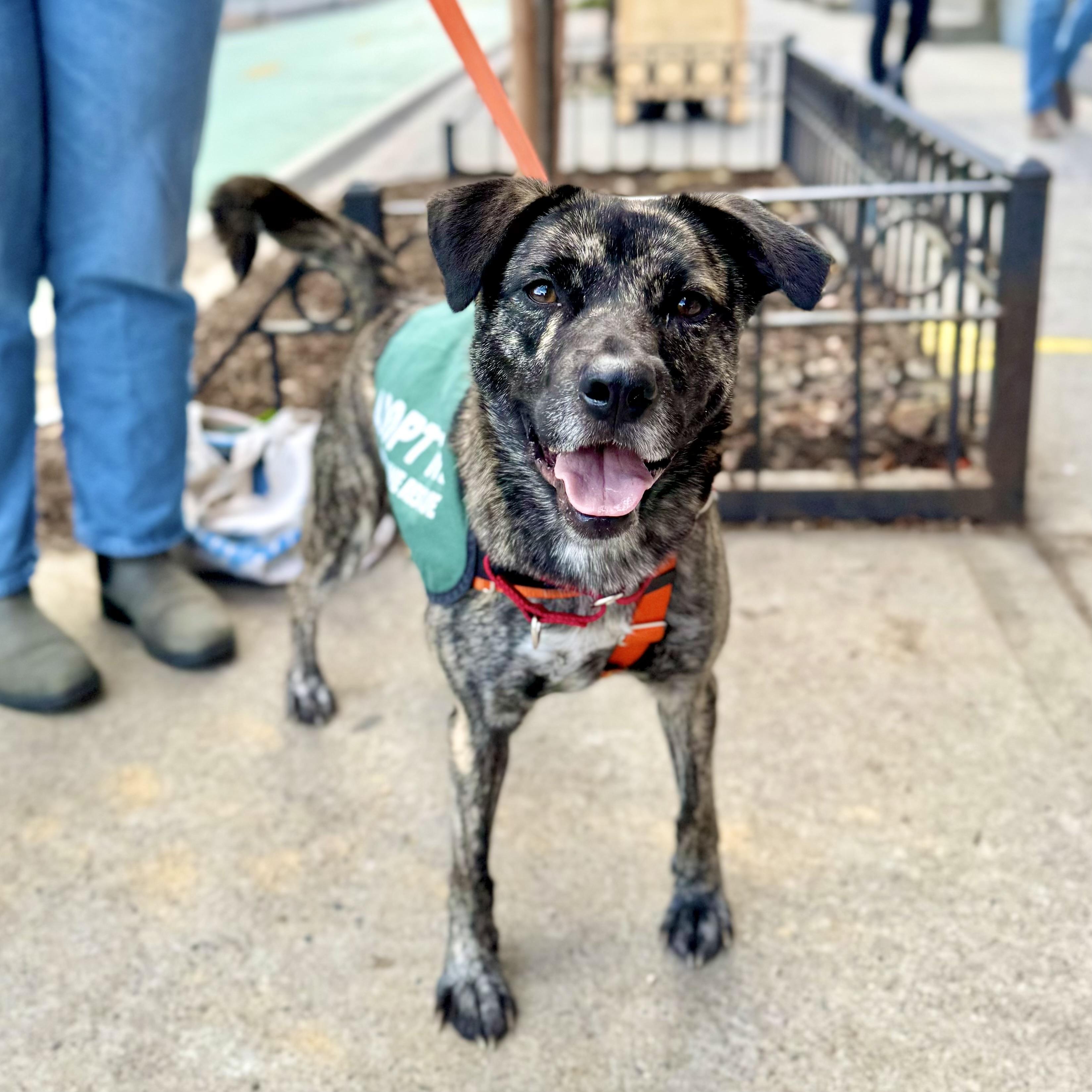 Firestarter thumbnail 5